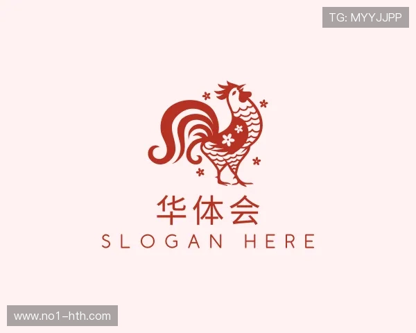 了解华体会官网